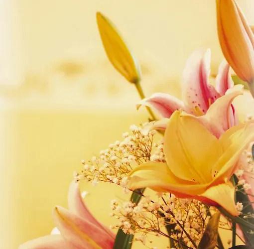 Tirolerhof Szálloda 3*